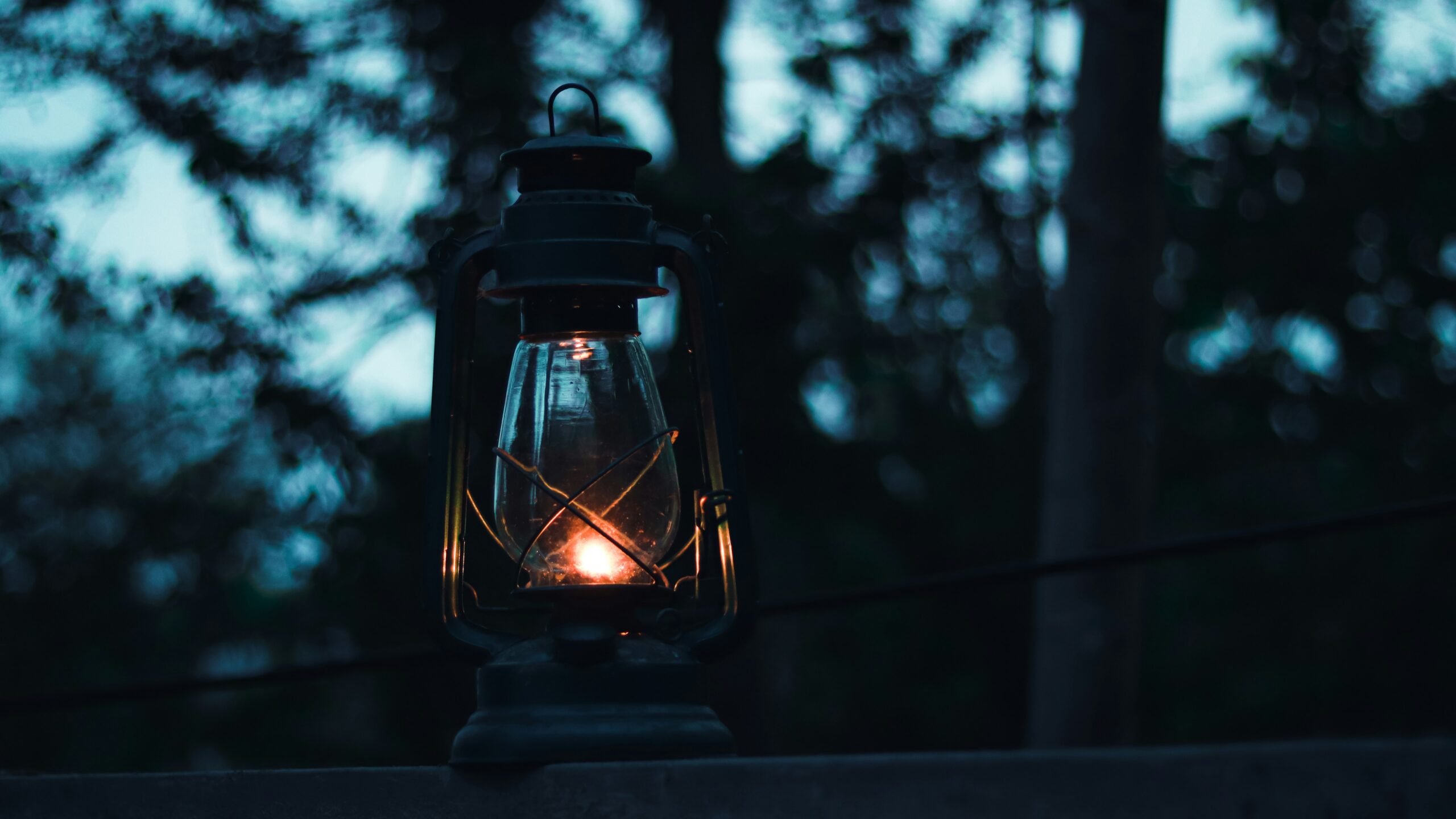 Light Omens Quickstart Guide development update featuring a lantern glowing in a dark forest at dusk